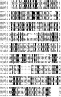 Characterization and Function Analysis of the Beta-Carotene Oxygenase-like Genes in Carotenoids Metabolism of the Ridgetail White Prawn Exopalaemon carinicauda